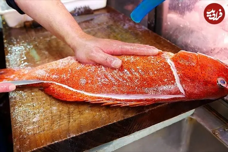 ببینید| غذای خیابانی در ژاپن؛ پخت یک غذای سنتی با ماهی گروپر قرمز در اوکیناوا