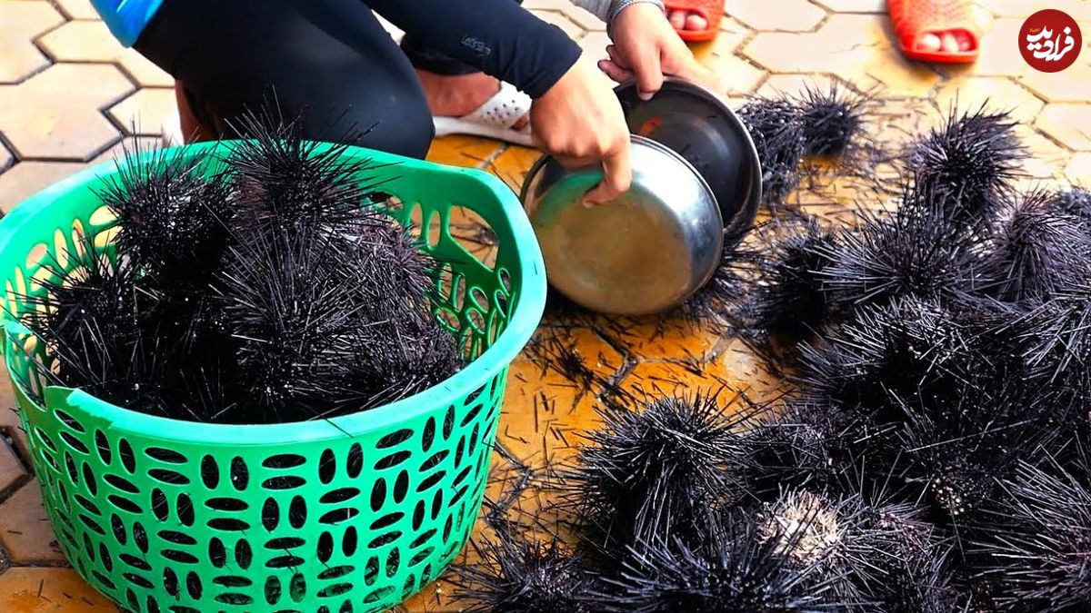 ببینید؛ غذای خیابانی در ویتنام؛ پخت یک غذای خاص با توتیای دریایی سیاه و تخم بلدرچین در هانوی