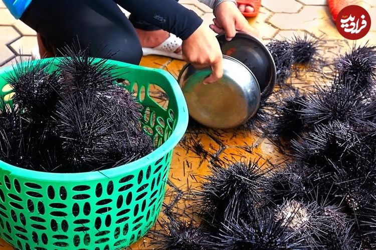 ببینید؛ غذای خیابانی در ویتنام؛ پخت یک غذای خاص با توتیای دریایی سیاه و تخم بلدرچین در هانوی