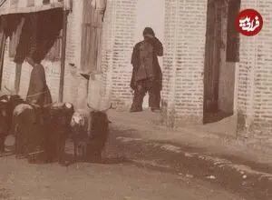 عکس| سغر زمان؛ «گلۀ کوچک بزها» در یکی از خیابان‌های تهران در دوران قاجار
