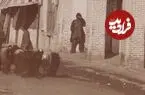 عکس| سغر زمان؛ «گلۀ کوچک بزها» در یکی از خیابان‌های تهران در دوران قاجار