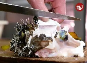 ببینید| غذای خیابانی در ژاپن؛ برش و تهیه دو نوع غذا با ماهی بادکنکی سمی در اوکیناوا