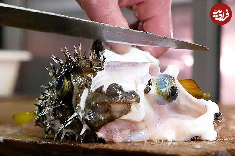 ببینید| غذای خیابانی در ژاپن؛ برش و تهیه دو نوع غذا با ماهی بادکنکی سمی در اوکیناوا