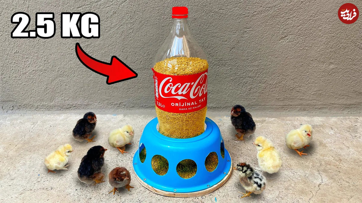 (ویدئو) یک ایده جالب برای ساخت دانخوری مرغ با تشت و بطری نوشابه 
