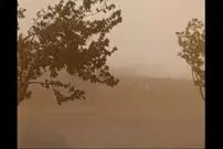 (ویدئو) طوفان شدید گردوخاک در نشتیفان شهرستان خواف 