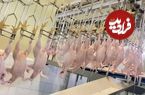 (ویدئو) فرآیند فرآوری گوشت مرغ و بسته بندی صدها تن در یک کارخانه کره ای