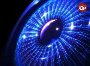 حلزونی که چشم خود را بازسازی می‌کند؛ امیدی تازه برای ترمیم بینایی انسان