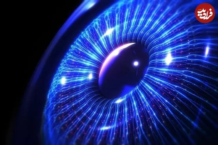 حلزونی که چشم خود را بازسازی می‌کند؛ امیدی تازه برای ترمیم بینایی انسان