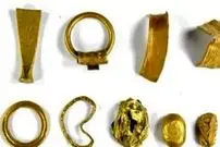 پیدا شدن حلقه‌های طلایی باستانی در مزرعۀ کلم