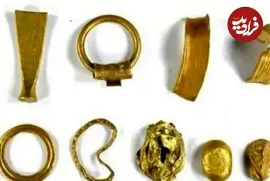 پیدا شدن حلقه‌های طلایی باستانی در مزرعۀ کلم