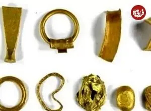 پیدا شدن حلقه‌های طلایی باستانی در مزرعۀ کلم