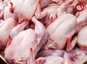 قیمت مرغ رسما اعلام شد/ سینه مرغ کیلویی ۴۰۰ هزار تومان قیمت خورد