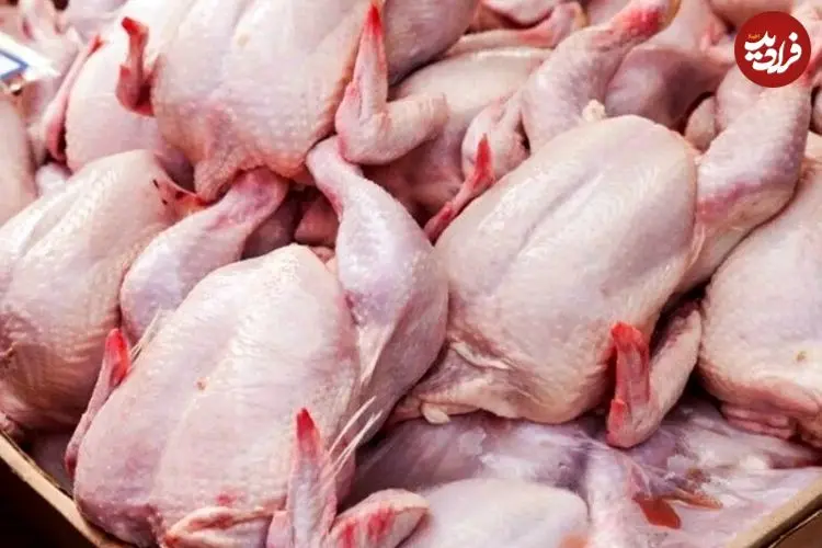 قیمت مرغ رسما اعلام شد/ سینه مرغ کیلویی ۴۰۰ هزار تومان قیمت خورد