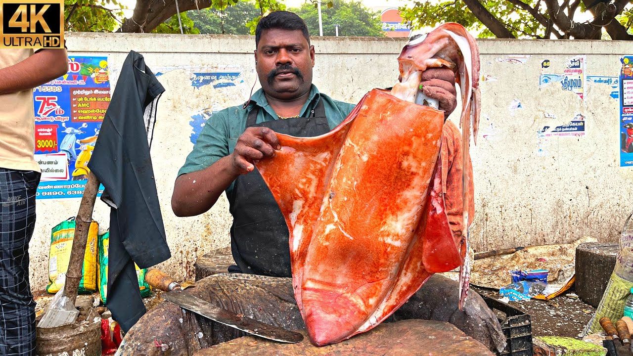 (ویدئو) مهارت ماهیگیر مشهور هندی در برش زدن ماهی مرکب غول پیکر