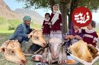 ببینید؛ غذای روستایی در افغانستان؛ پخت کله پاچه کنار رودخانه