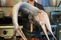 ببینید| غذای خیابانی در ایران؛ برش زدن و کباب کردن بادبان ماهی به روش آشپز مشهور