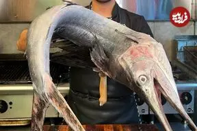 ببینید| غذای خیابانی در ایران؛ برش زدن و کباب کردن بادبان ماهی به روش آشپز مشهور