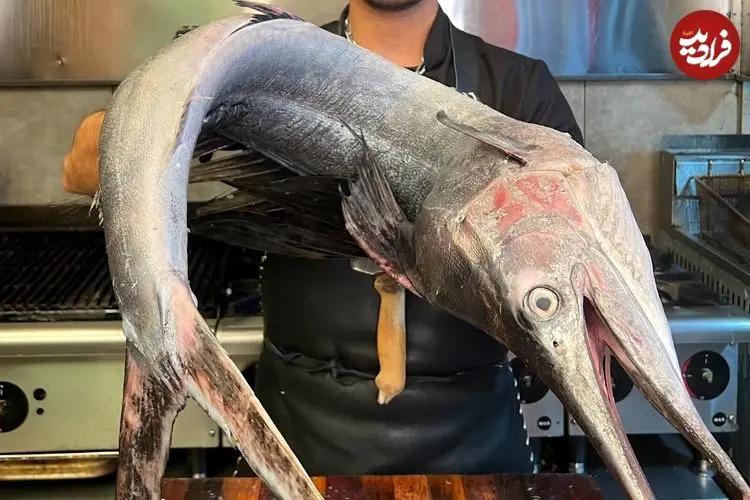 ببینید| غذای خیابانی در ایران؛ برش زدن و کباب کردن بادبان ماهی به روش آشپز مشهور