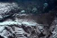 کشف تخم‌های دایناسور که پر از «سنگ‌های بلورین» بودند