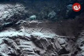 کشف تخم‌های دایناسور که پر از «سنگ‌های بلورین» بودند