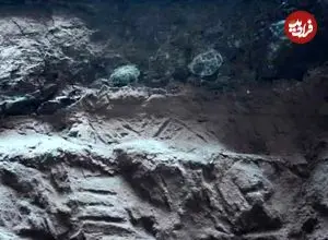 کشف تخم‌های دایناسور که پر از «سنگ‌های بلورین» بودند