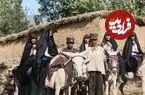 تصاویر| سفر به ایران قدیم؛ از «عروسی ملیجک در باغ بهارستان» تا «عروسی بی‌بی خاور در قلعه»