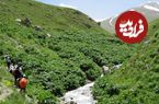 خاص ترین چشمه ها را در شمال تهران ببینید