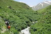 خاص ترین چشمه ها را در شمال تهران ببینید