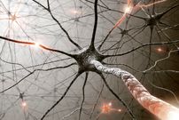 بیماری عجیب مرد ۲۲ ساله؛ بدنش هر چیز سردی را داغ و هر چیز گرمی را سرد حس می‌کند