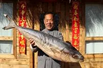 ببینید| غذای روستایی در چین؛ پخت 5 نوع غذا با ماهی ماکرل توسط آشپزی ماهر