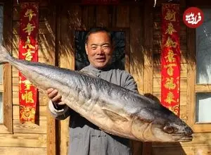 ببینید| غذای روستایی در چین؛ پخت 5 نوع غذا با ماهی ماکرل توسط آشپزی ماهر