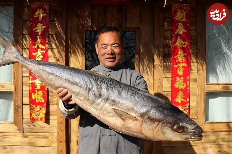 ببینید| غذای روستایی در چین؛ پخت 5 نوع غذا با ماهی ماکرل توسط آشپزی ماهر