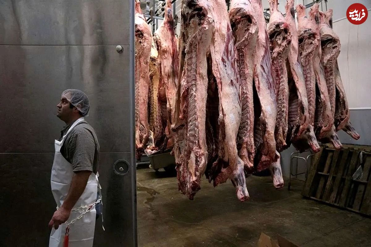 جدول؛ قیمت راسته گوسفندی از یک میلیون عبور کرد