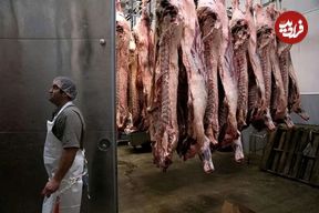 جدول؛ قیمت راسته گوسفندی از یک میلیون عبور کرد