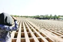 ببینید؛ معاون شهردار تهران: قبور منافقین در بهشت‌ زهرا را تبدیل به پارکینگ برای استفاده مردم کردیم