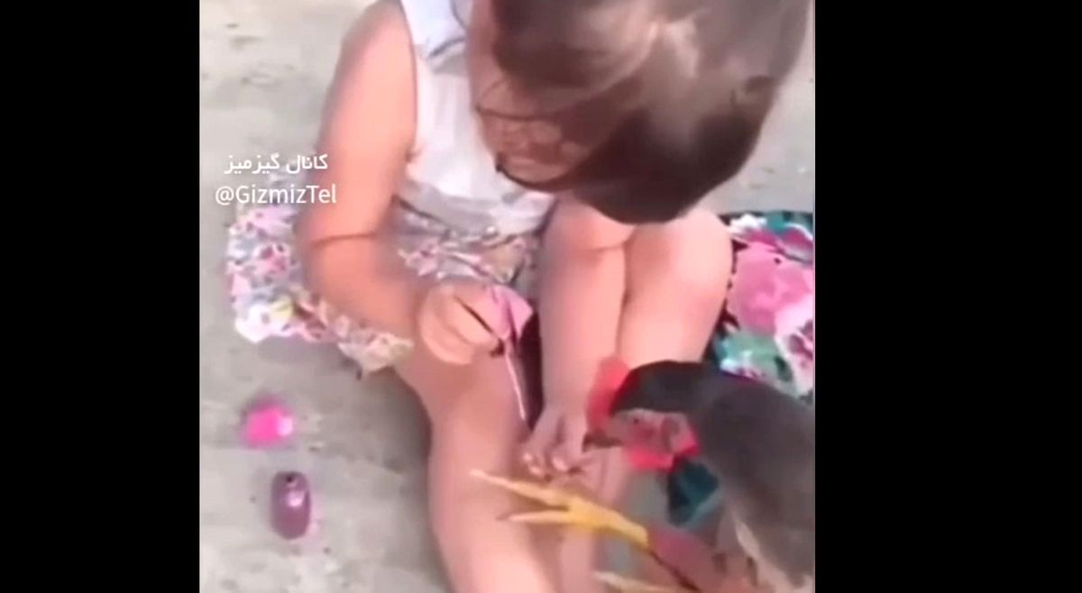 (ویدئو) لاک زدن دختر بچه برای مرغ 