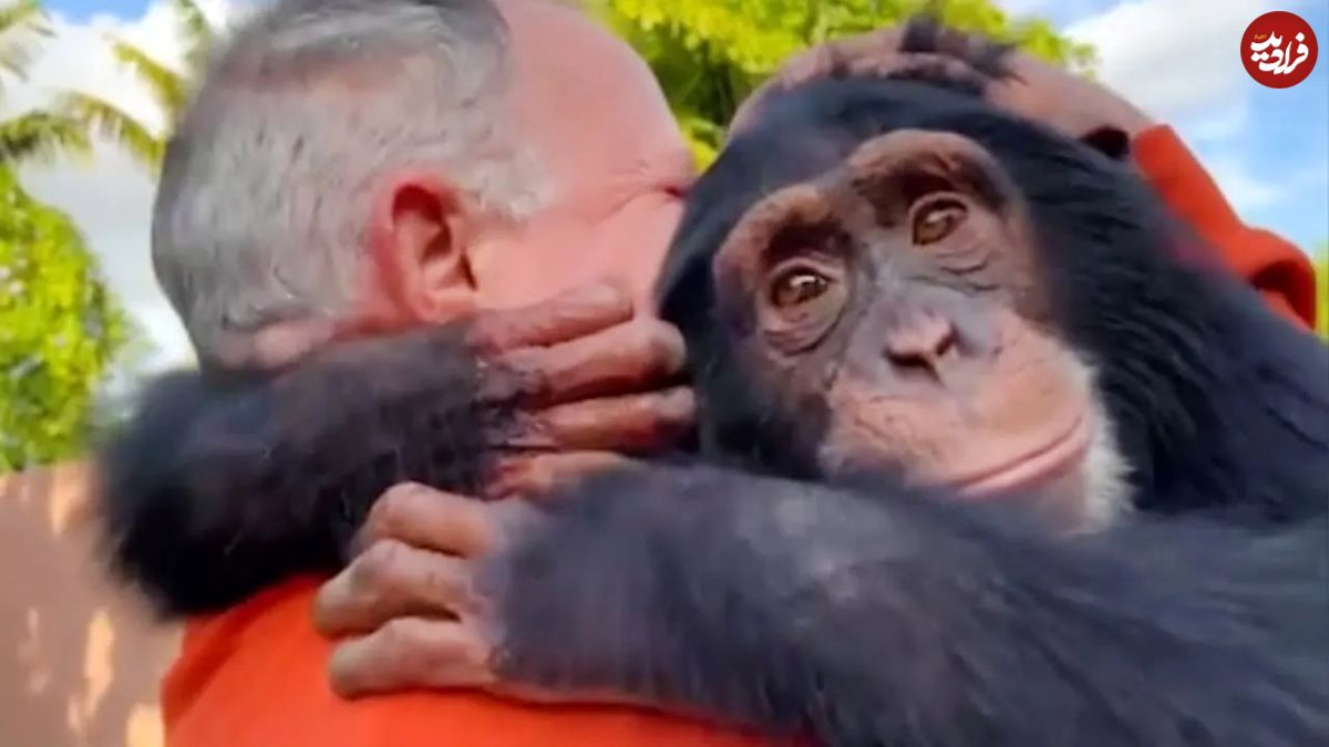(ویدئو) لحظه دیدار احساسی 13 حیوان خوش قلب با صاحبان شان پس از ماه ها دوری