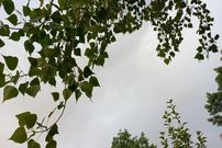 بهار در ۳۱ استان گرم‌تر از حد نرمال است!