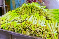 ببینید؛ مراحل دیدنی برداشت و فرآوری هزاران کیلو ساقه بامبو در تایوان