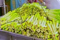 ببینید؛ مراحل دیدنی برداشت و فرآوری هزاران کیلو ساقه بامبو در تایوان