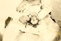 عکس؛ سفر به تاریخ؛ چهرۀ «عروس چهارده‌سالۀ قاجاری» که احمدشاه به او لقب «شمس اعظم» داد