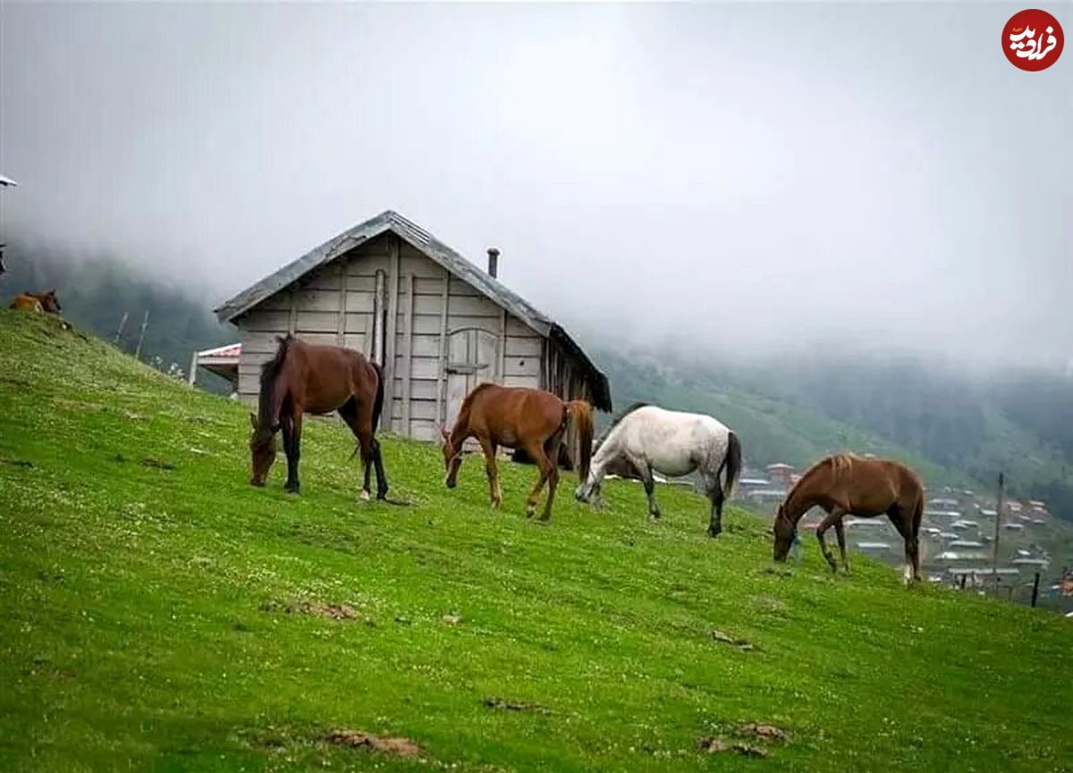 (تصاویر) منطقه خنک گیلان در تابستان را بشناسید؛ بهترین زمان سفر به ماسال