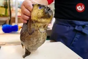 ببینید| غذای خیابانی در ژاپن؛ تهیه دو نوع غذا با ماهی کمیاب چسبنده در اوکیناوا