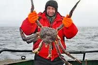 شاه‌خرچنگ قرمز؛ رکورددار اندازه در دنیای خرچنگ‌ها