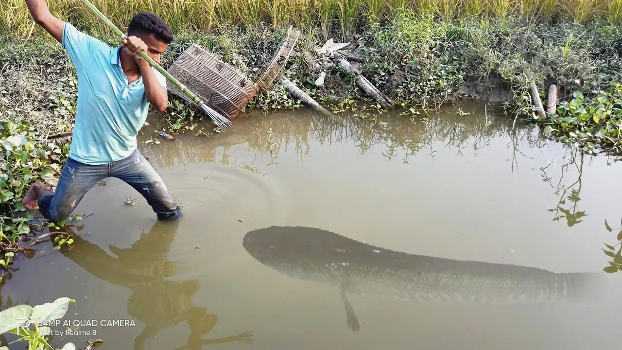(ویدئو) نحوه ساخت یک ابزار نیزه مانند باستانی برای شکار کردن ماهی در رودخانه