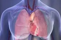 اختراع شگفت‌انگیز دانشمند ایرانی در آمریکا