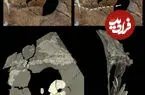 قتل مرموز در شانه‌در؛ کشف قدیمی‌ترین مدرک از مرگ انسان نئاندرتال بر اثر اصابت نیزه