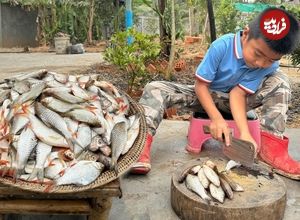 (ویدئو) نمایی از طبخ یک غذای محلی با ماهی توسط یک مادر و کودک سنگاپوری