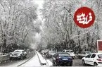 عکس| سفر زمان؛ تصویر زیبای یک روز برفی در تهران عهد قاجار