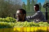 بهترین فیلم‌های سینمایی «محسن تنابنده» در دهۀ 80